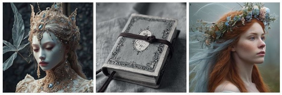 iLona Picha-Hoeberth